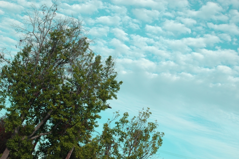blue sky two