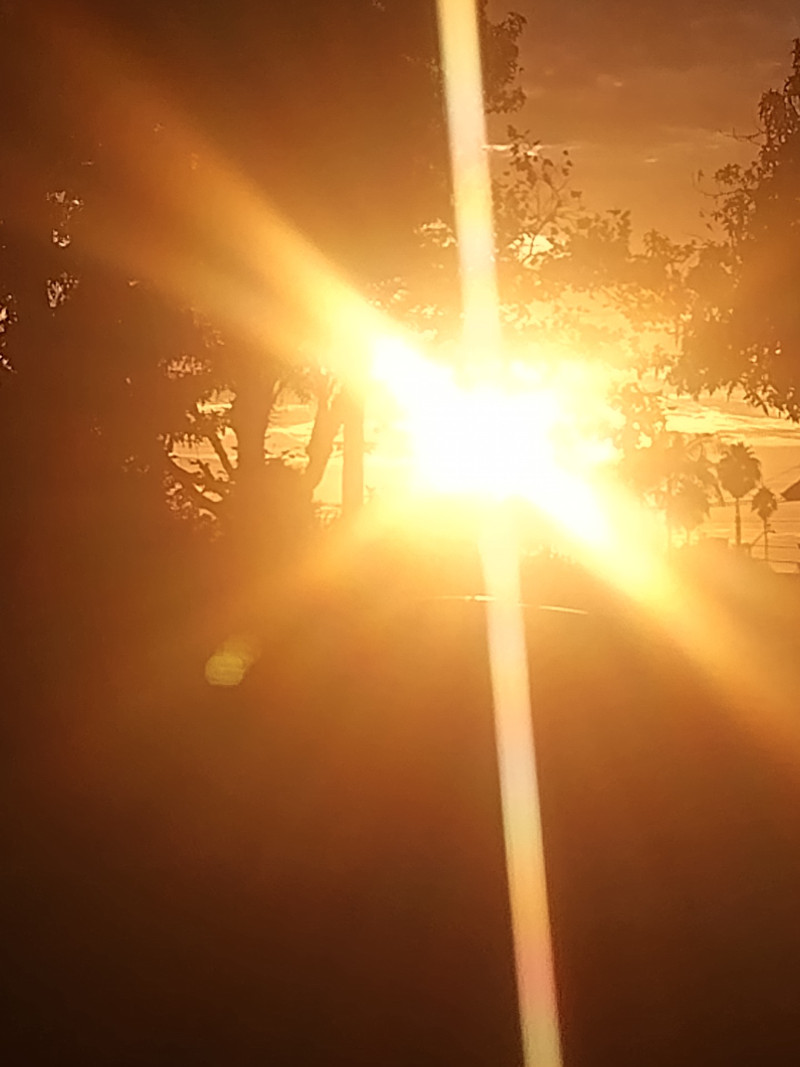 new summer day