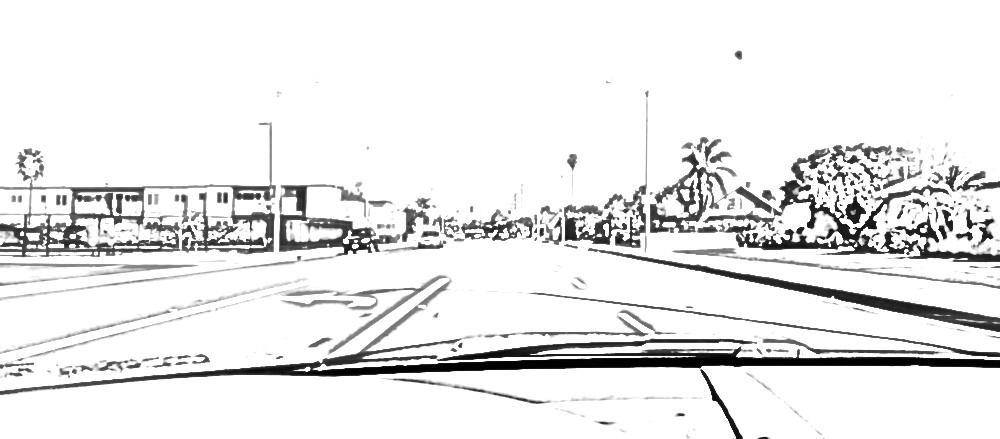 driving around in the new year